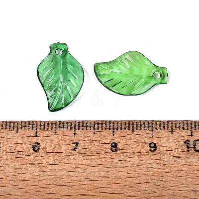 Transparent Acrylic Pendants X-TACR-436-17-1