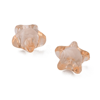 Transparent Acrylic Beads TACR-S091-12mm-05-1