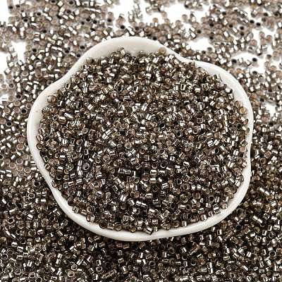 Glass Seed Beads X1-SEED-S042-04A-09-1