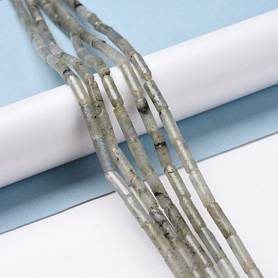 Natural Labradorite Beads Strands G-D464-08-1