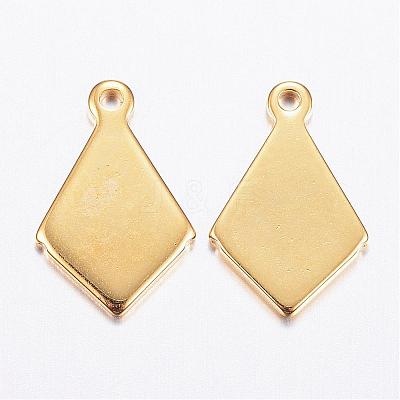 304 Stainless Steel Charms STAS-P142-10G-1