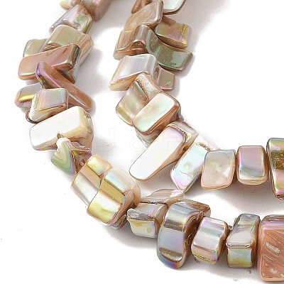 Natural Freshwater Shell Beads Strands BSHE-H018-07A-1