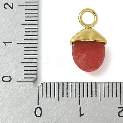 Natural Carnelian(Dyed & Heated) Pendants STAS-L277-07G-08-1