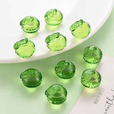 Transparent Acrylic Pendants TACR-T024-05B-925-1
