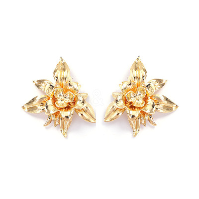 Zinc Alloy Stud Earrings for Women WGD1381-01-1