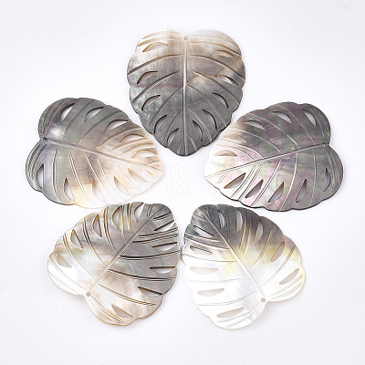 Black Lip Shell Pendants SHEL-S274-78-1