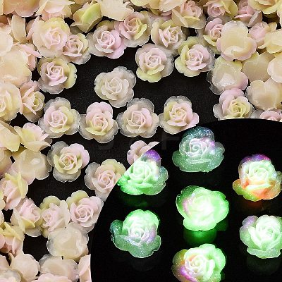 Luminous Resin Decoden Cabochons RESI-K036-54-1