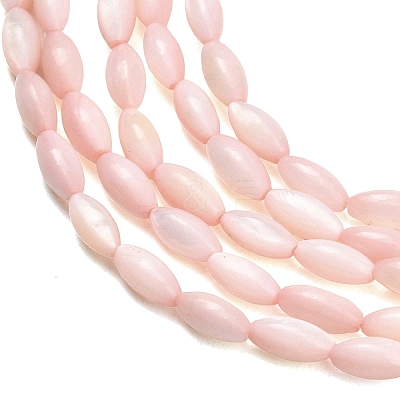 Natural Freshwater Shell Beads Strands SHEL-C010-01F-1