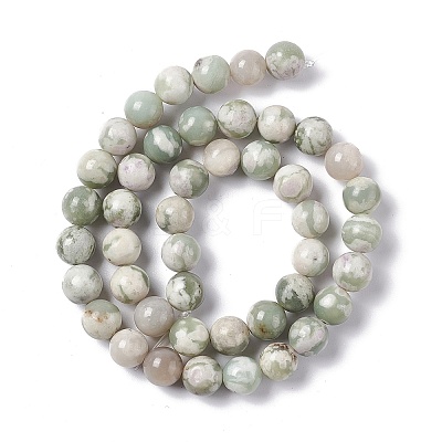 Natural Peace Jade Beads Strands X-G-G905-07-1