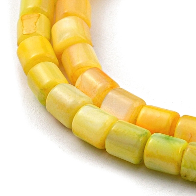 Natural Freshwater Shell Beads Strands SHEL-F008-04E-1