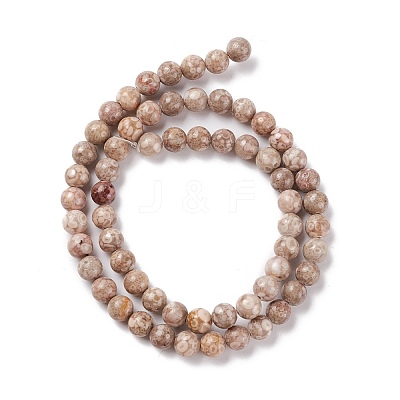 Natural Maifanite/Maifan Stone Beads Strands G-P451-01B-B-1