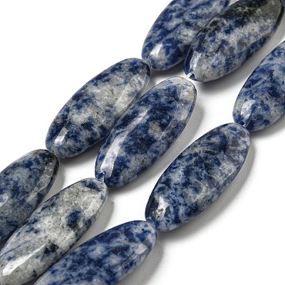 Natural Blue Spot Jasper Beads Strands G-B078-E07-01-1