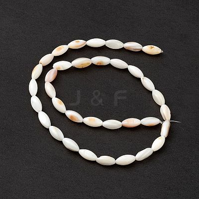 Natural Freshwater Shell Dyed Beads Strands SHEL-M018-13-13-1