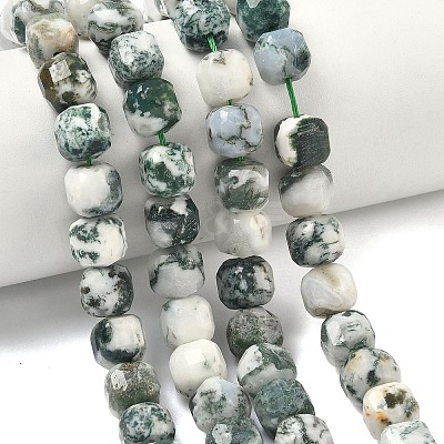 Natural Tree Agate Beads Strands G-C267-A18-1