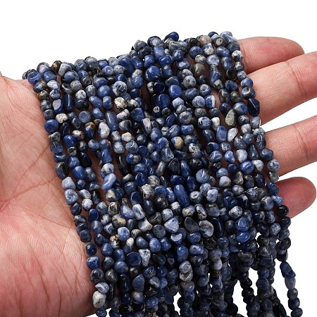Natural Sodalite Beads Strands G-I389-A08-1