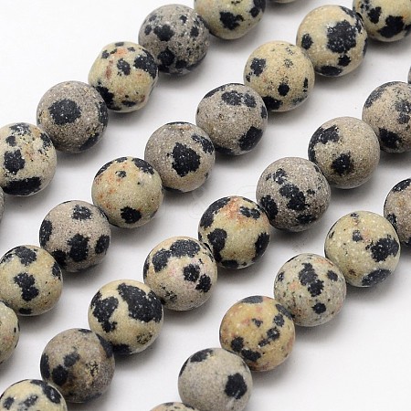 Natural Dalmatian Jasper Beads Strands G-D685-4mm-1