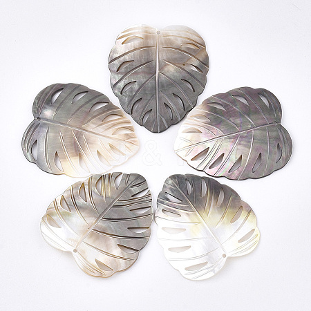 Black Lip Shell Pendants SHEL-S274-78-1