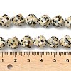Natural Dalmatian Jasper Beads Strands G-C267-B21-5