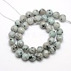 Natural Sesame Jasper/Kiwi Jasper Beads Strands G-L147-4mm-01-2