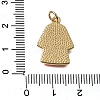 Alloy Enamel Pendants KK-CBAA2A6-02G-D-3