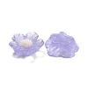 Transparent Resin Cabochons RESI-CJC0013-04-3