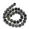 Natural Larvikite Beads Strand G-I376-A13-01-2