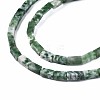 Natural Green Spot Jasper Beads Strands G-S299-141-3