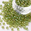 6/0 Round Glass Seed Beads SEED-US0003-4mm-164-1