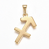 304 Stainless Steel Pendants X1-STAS-L210-06J-G-01-1