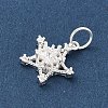 925 Sterling Silver Pave Clear Cubic Zirconia Pendants STER-G049-01B-S-2