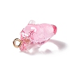 Transparent Resin Pendants RESI-E028-01G-06-3