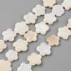 Natural Freshwater Shell Beads Strands X-SHEL-S276-84-1