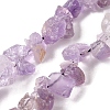 Natural Amethyst Beads Strands G-S386-B05-2