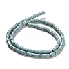 Natural Turquoise Beads Strands X-G-M422-C01-01-1