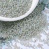 MIYUKI Round Rocailles Beads SEED-G007-RR3192-1