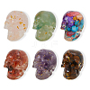 6Pcs 6 Styles Resin Skull Display Decoration DJEW-DC0001-15-1