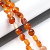 Natural Red Agate Beads Strands G-T047-A02-01-2