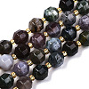 Natural Indian Agate Beads Strands G-T131-77A-1