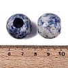 Natural Blue Spot Jasper Beads G-Q608-05H-3