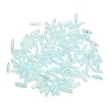 Frosted Glass Beads FGLA-L001-001K-1