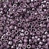 Baking Paint Glass Seed Beads SEED-S042-15A-14-3