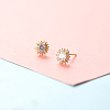 Brass Micro Pave Clear Cubic Zirconia Stud Earrings FS-WGE47D1-14-1