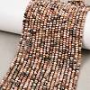 Natural Argentina Rhodonite Beads Strands G-B175-A17-2x3mm-1