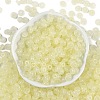 Transparent Colours Glass Seed Beads X1-SEED-P008-01B-10-3