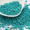 Baking Paint Glass Seed Beads X-SEED-S042-05B-57-1