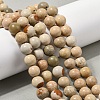 Natural Picture Jasper Beads Strands G-G184-A03-01-2