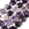 Natural Amethyst Quartz Beads Strands G-NH0005-030-1