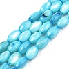 Freshwater Shell Beads Strands SHEL-T009-B15-2