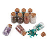 Glass Wishing Bottle Decorations STAS-CW0001-01-4