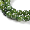 Dyed Natural Malaysia Jade Beads Strands G-G021-02B-13-3